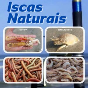 Prefira iscas frescas à iscas congeladas ou com aditivos