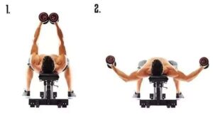 A cadencia do movimento é uma das importantes variáveis de treino na musculação